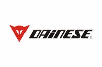 DAiNESE, лого
